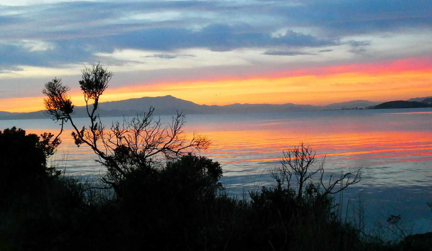 View of Mt. Tam at Sunset 12/11/18