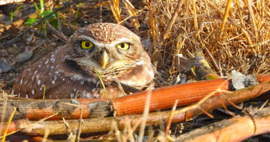 Park News Oct 24 2025