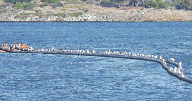 Park News Oct 31 2025