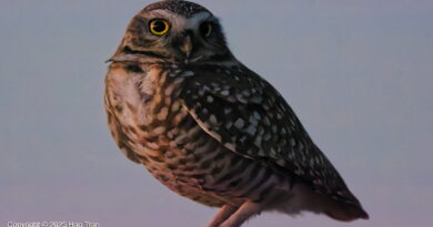 Park News Nov 3 2025